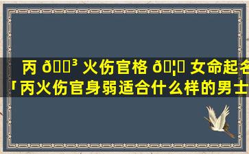 丙 🌳 火伤官格 🦊 女命起名「丙火伤官身弱适合什么样的男士」